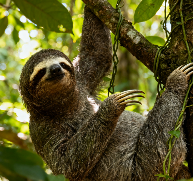 1.2正確使用媒體