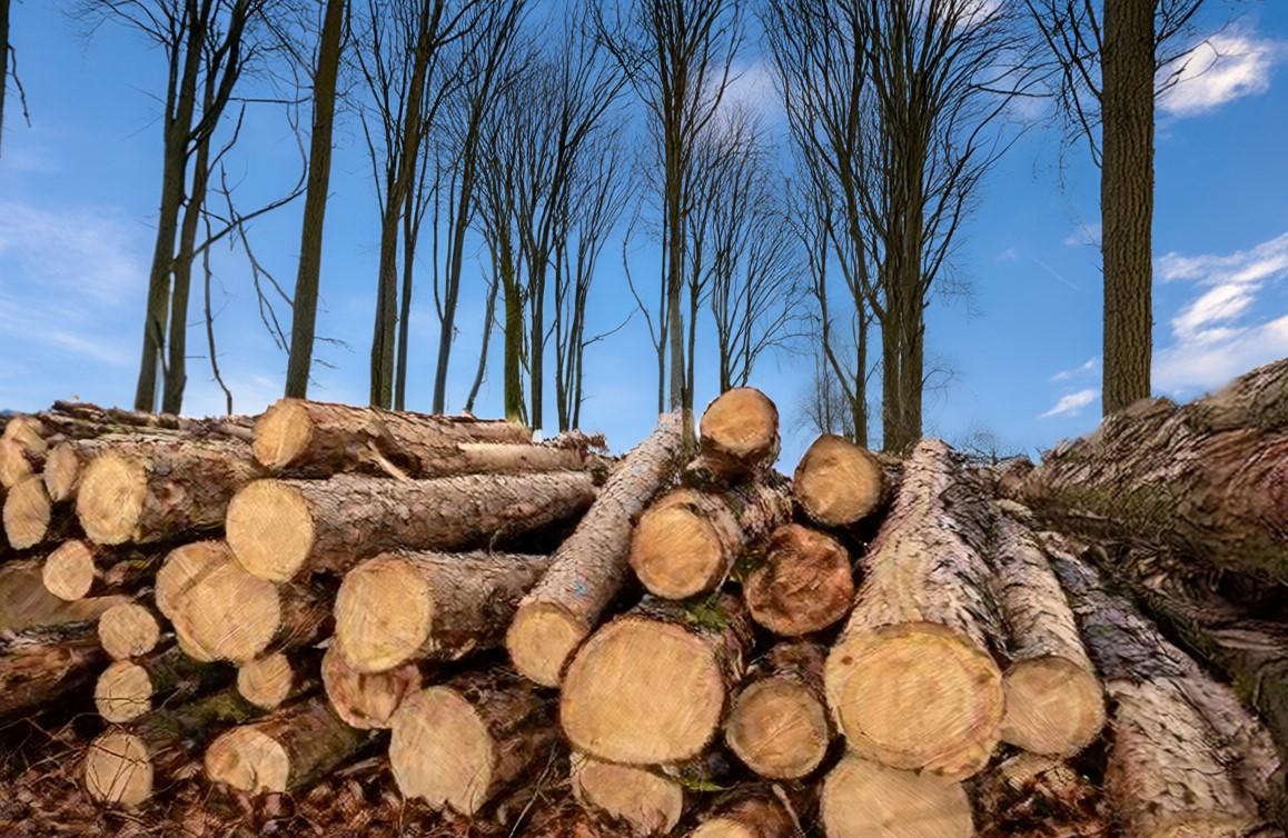 1.7 認識總體國家安全觀涵蓋的一些國家安全重點領域